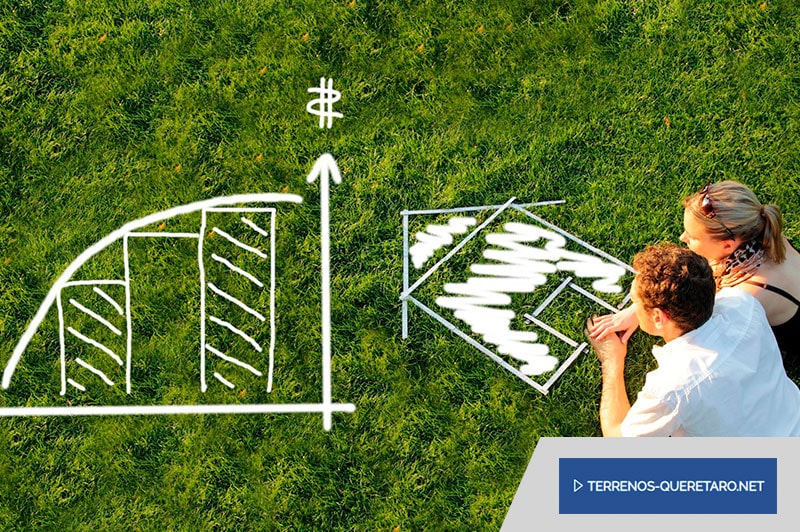 Ideas de negocios en terrenos rurales y baldíos: aprovecha tu tierra para emprender en Querétaro